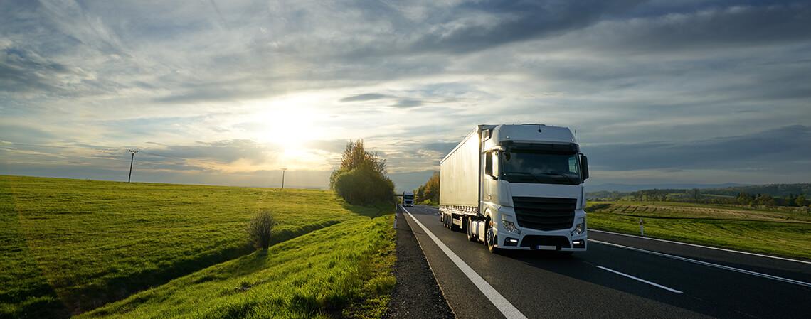 movimento mercadorias hungría