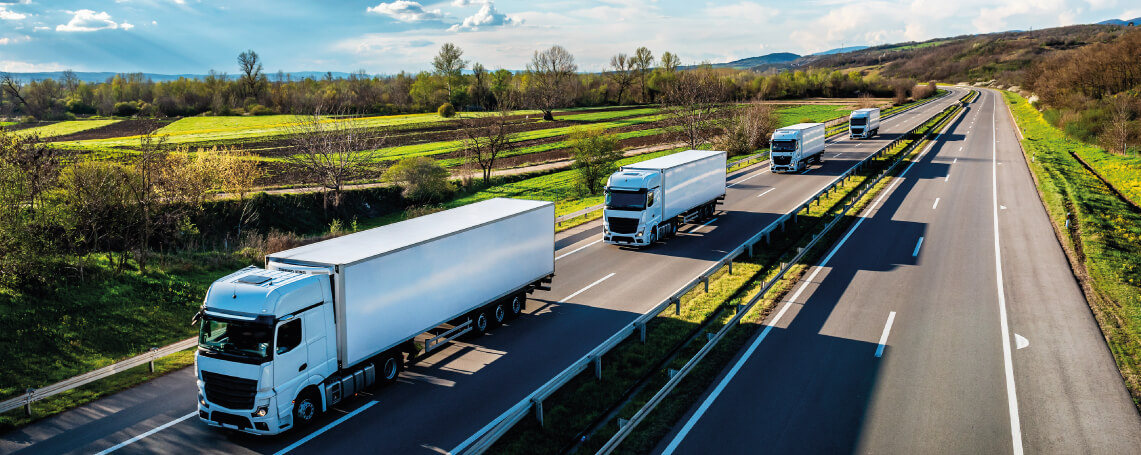 grecia documento de transporte eletrônico